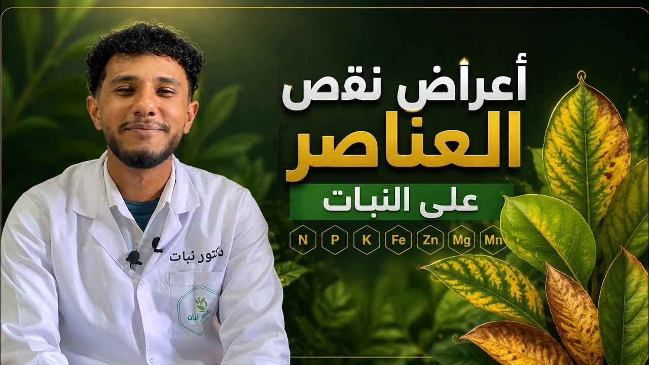اعراض نقص العناصر على النبات 