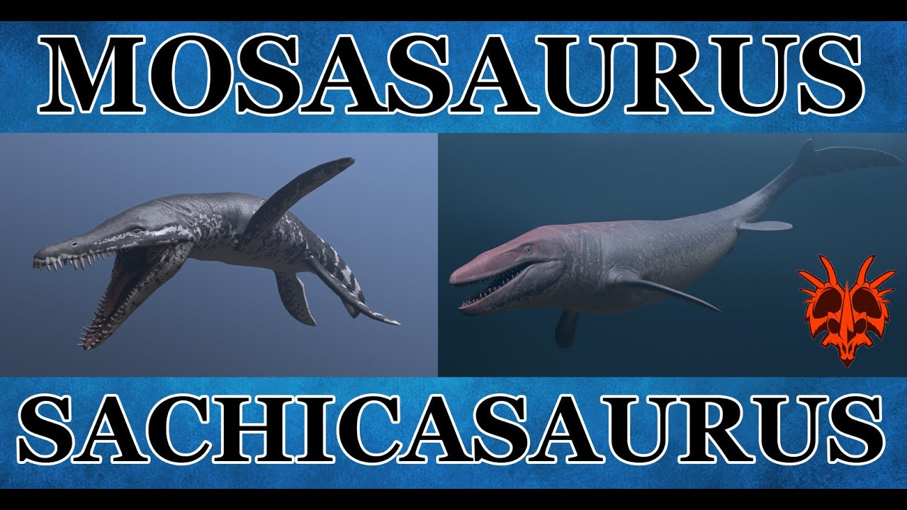 PATH OF TITANS #FR | INFORMATION MODS MARIN & VOLANT | MOSASAURUS | SACHICASAURUS | AUTRE CONCEPT