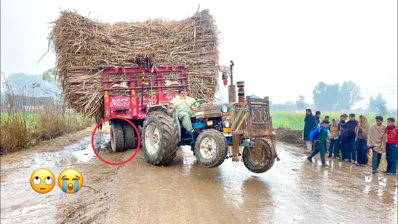 Fully Load Sugarcane Trailer Stuck In Mud Rescue with Ford & Belarus