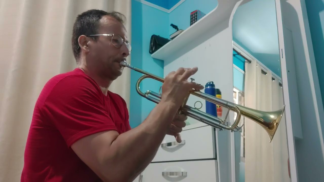 Hino 449. O meu nome no céu escreveste senhor. Playback lindo do irmão  André Forni no trompete 🎺