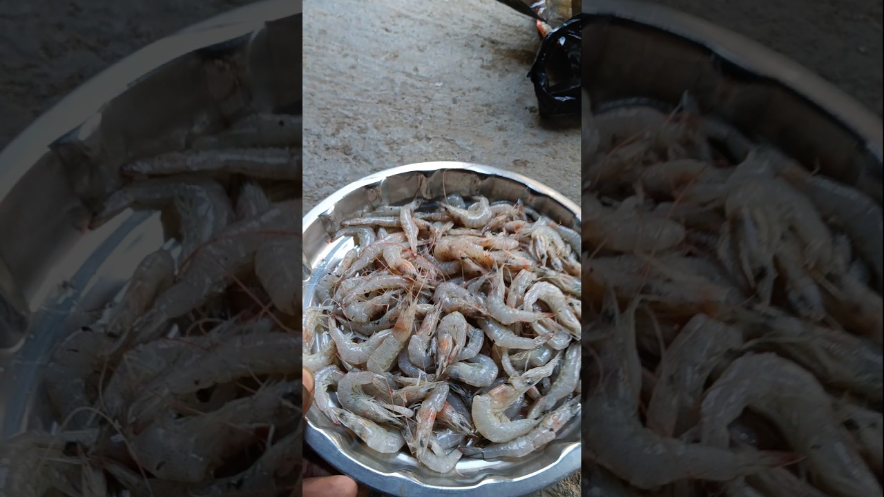 શું ભાવ આવ્યા ઝીંગા 🍤 shu bhav aaviya jinga 😋 ll 