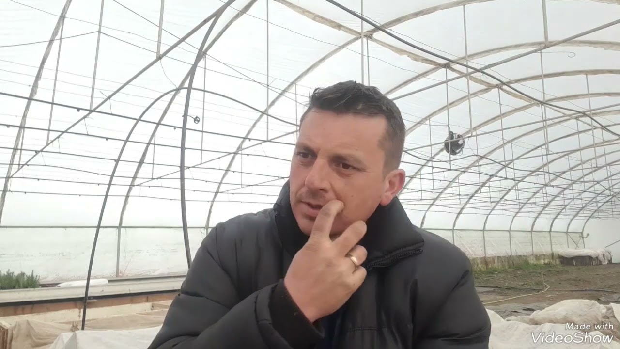 Este util solarul în grădină?Vezi în acest material câteva avantaje și dezavantaje!👇👇👇