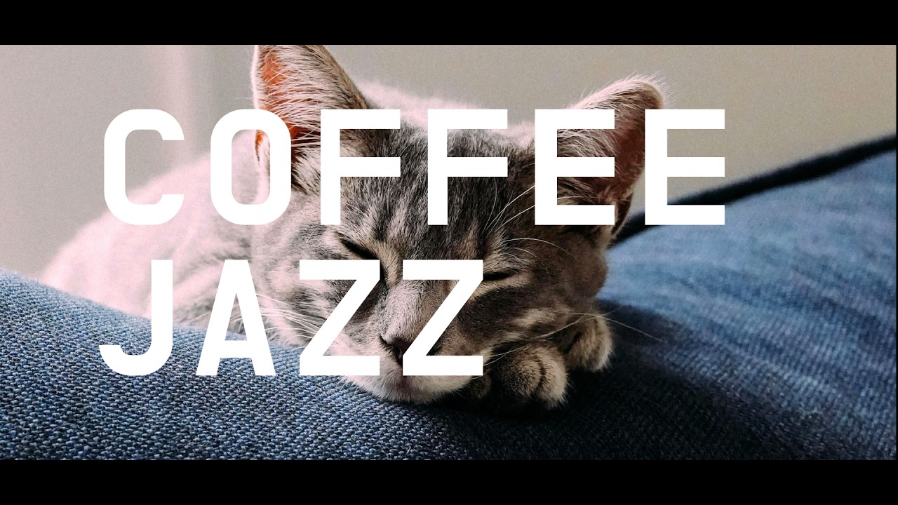[PLAYLIST] Coffee Jazz ☕ Дневной сон стоя в 14:00: Не говорите Боссу Хомяку