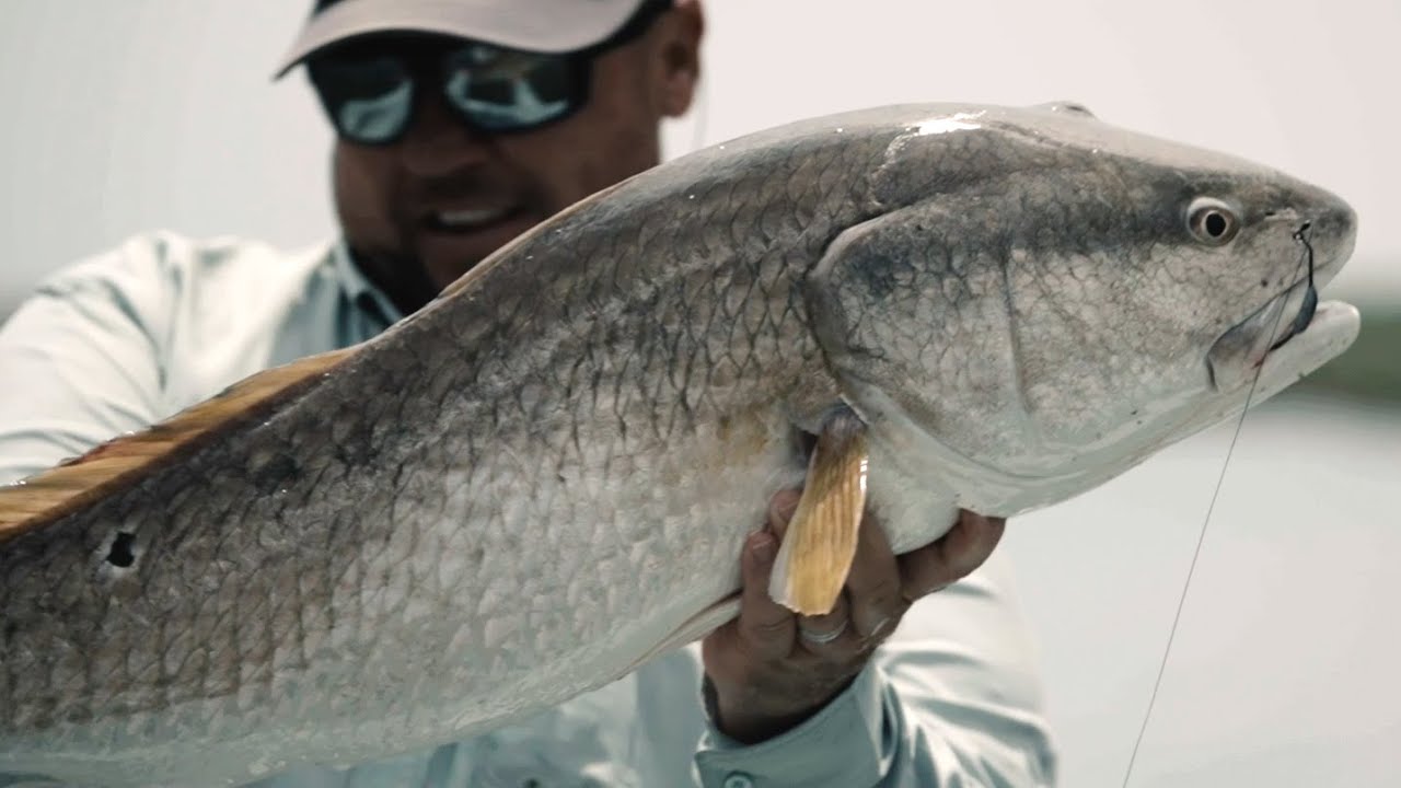 Guidelines - Sight Fishing Redfish with Greg Dini