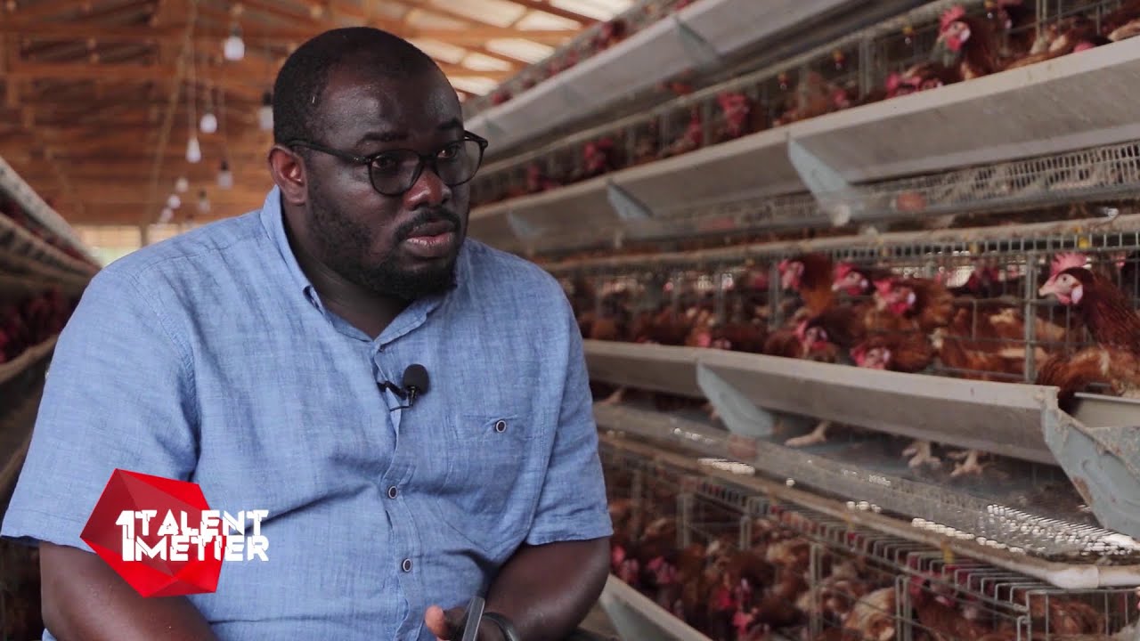 1 TALENt 1 METIER AVEC CRASMER B  NZEMBA