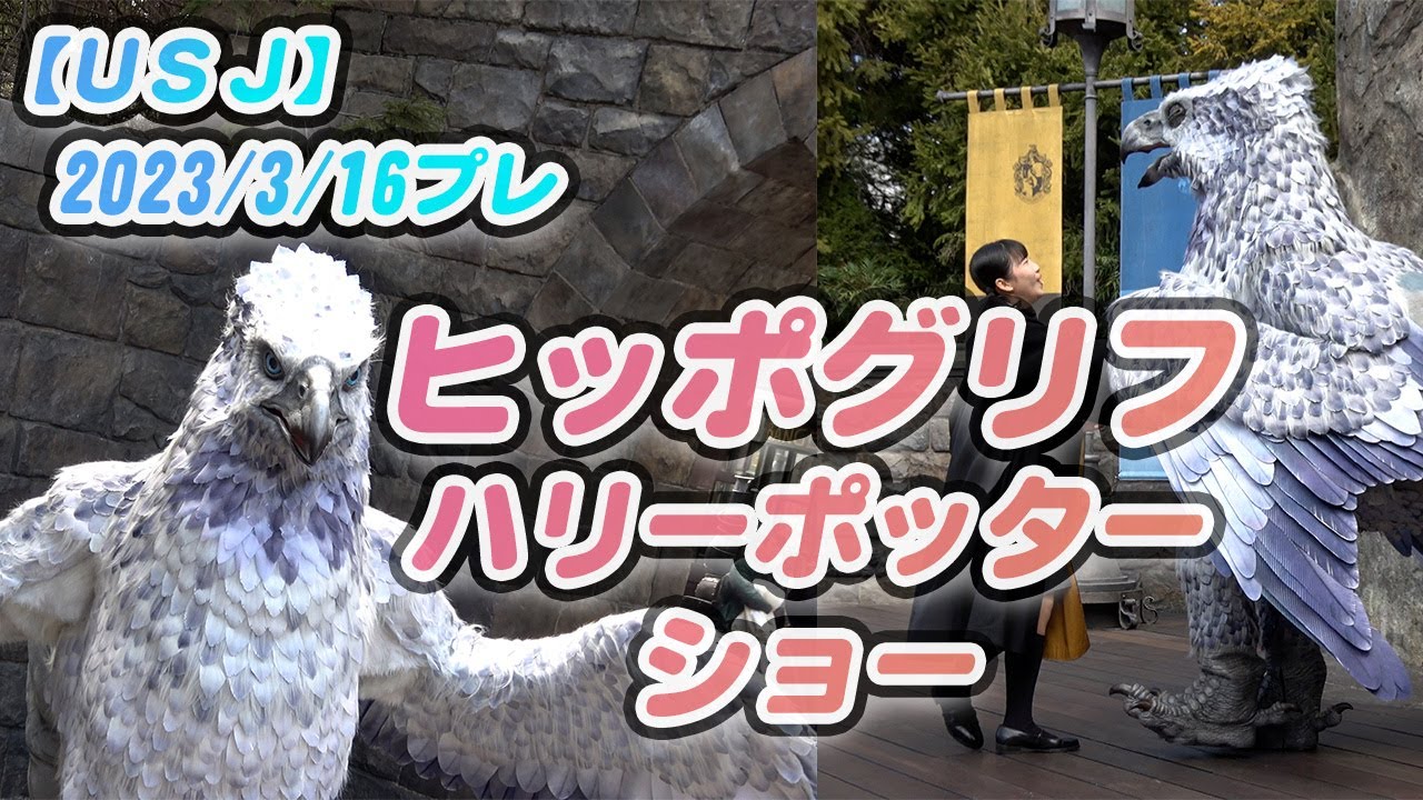 【USJハリーポッター】魔法生物ヒッポグリフのショー