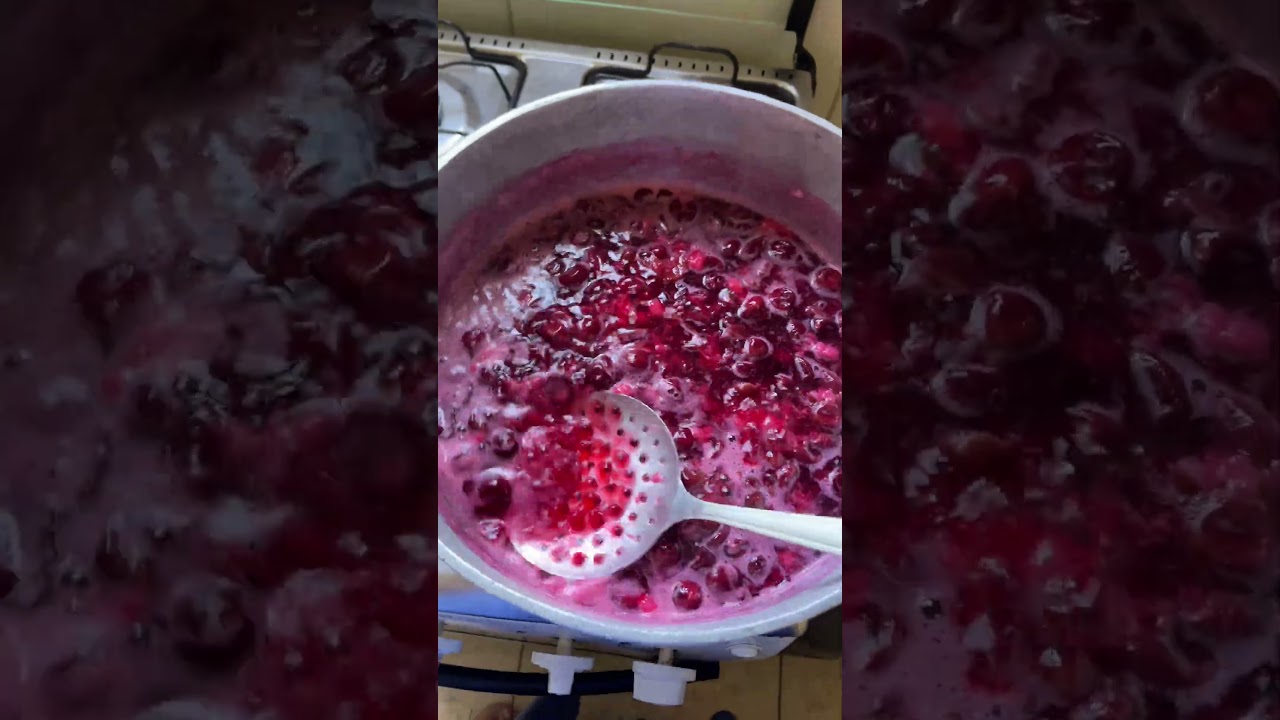 Suco de jabuticaba 🥤 