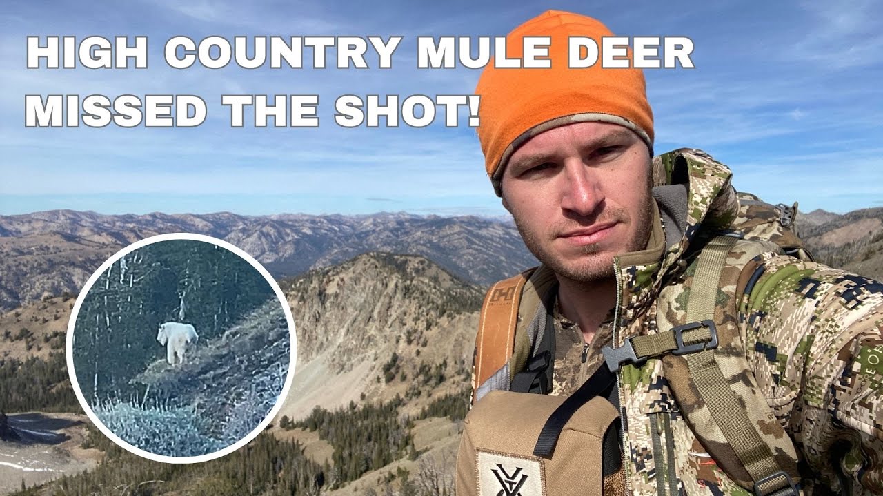 Idaho High Country Mule Deer Hunt - Missed The Shot! Bonus: Mountain Goat Spotted!