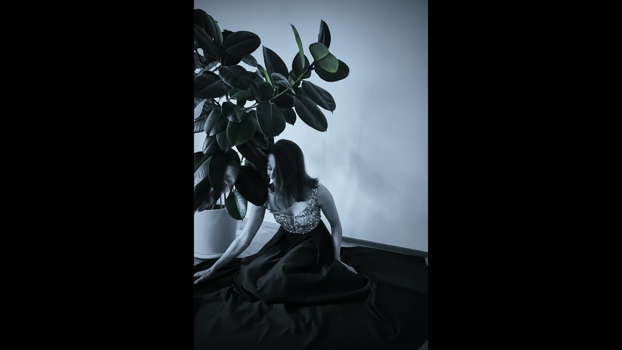 W. A. Mozart (1756 - 1791) - »Giunse al fin il momento-Deh vieni non tardar«