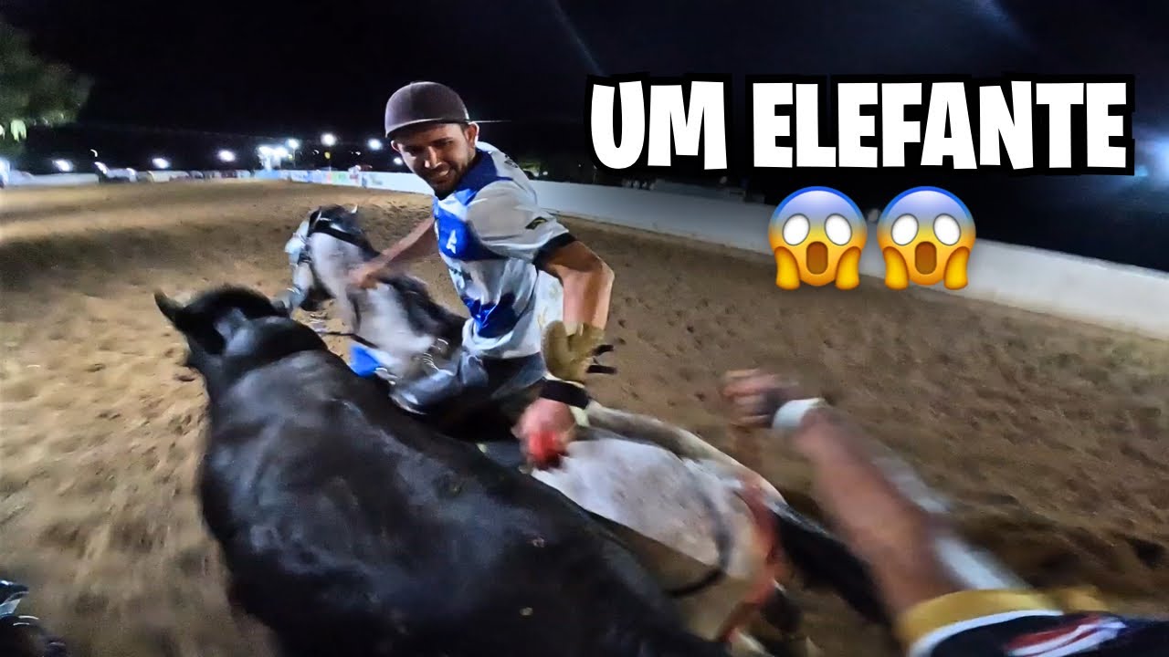 GANHAMOS O 1 LUGAR NA NATALIA QUENTÃO NA SELA DE MANUEL CUNHA!
