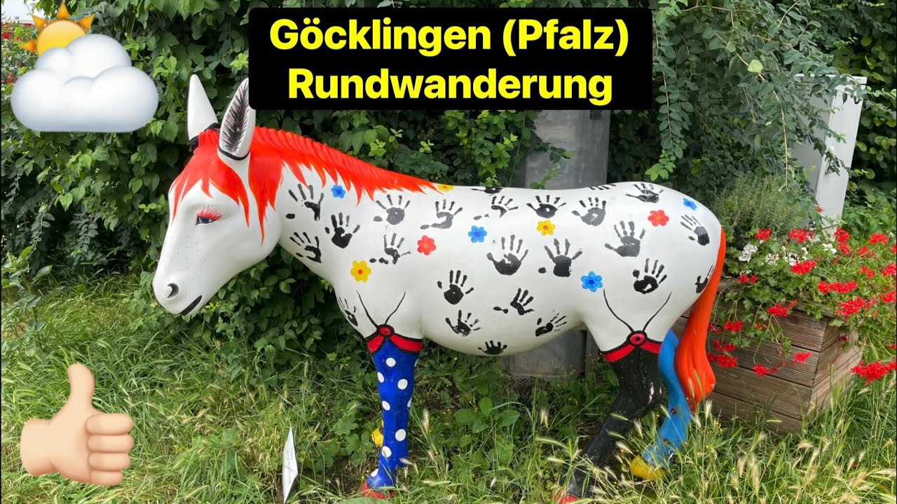 Göcklingen bei Landau (Pfalz), Rebenmeer Rundwanderung