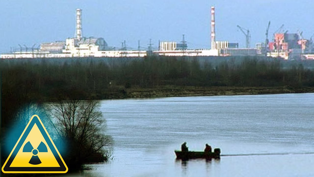 Яку рибу можна зловити в Прип'яті / Рибалка в Чорнобилі у 2022 році