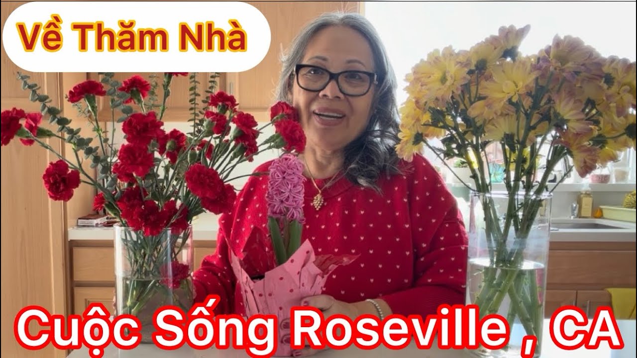 Tap1935: Hồng Nhớ Con Gái Nên Đi Thăm  Thấy Con Buồn Nên Thương Cuộc Sống Thành Phố Roseville CA 