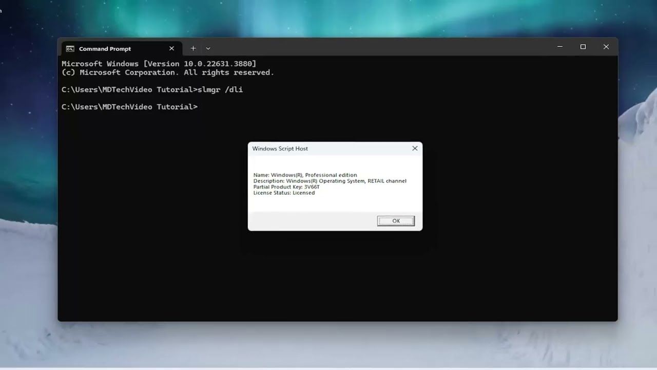How to Tell If Windows 10/11 License is Retail, OEM or Volume [Easy Guide]