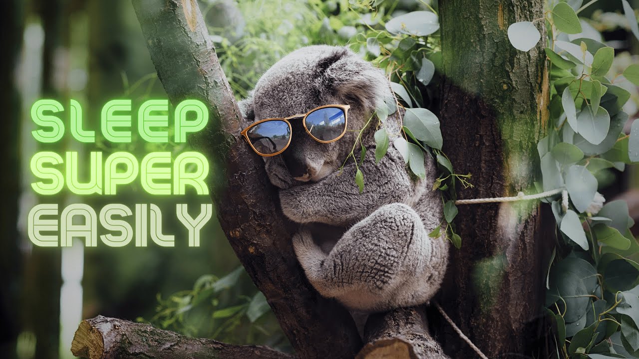 Easy Deep Sleep Meditation: Careen off to Dreamland With Koala-Esque Ease