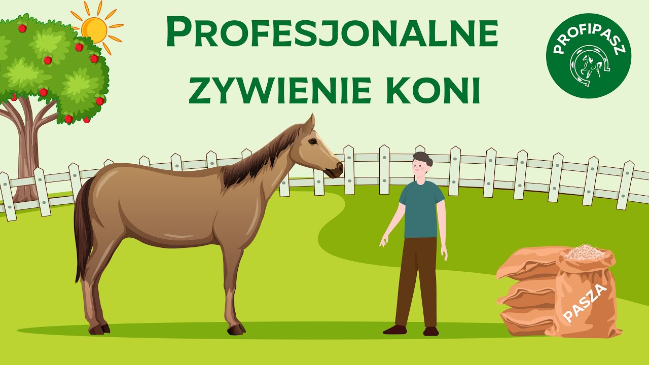 Żywienie koni. Czym i jak karmić konia?