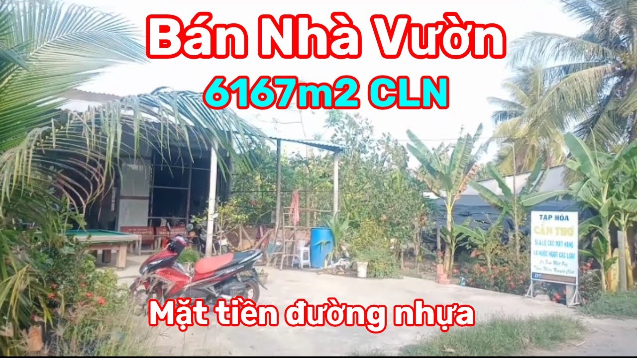 Thành Hiếu Nhà Đất Cầu Kè, Trà Vinh. Bán nhà vườn. DT 6167m2 CLN. Giá 2,4 tỷ. Xã Châu Điền, Cầu Kè