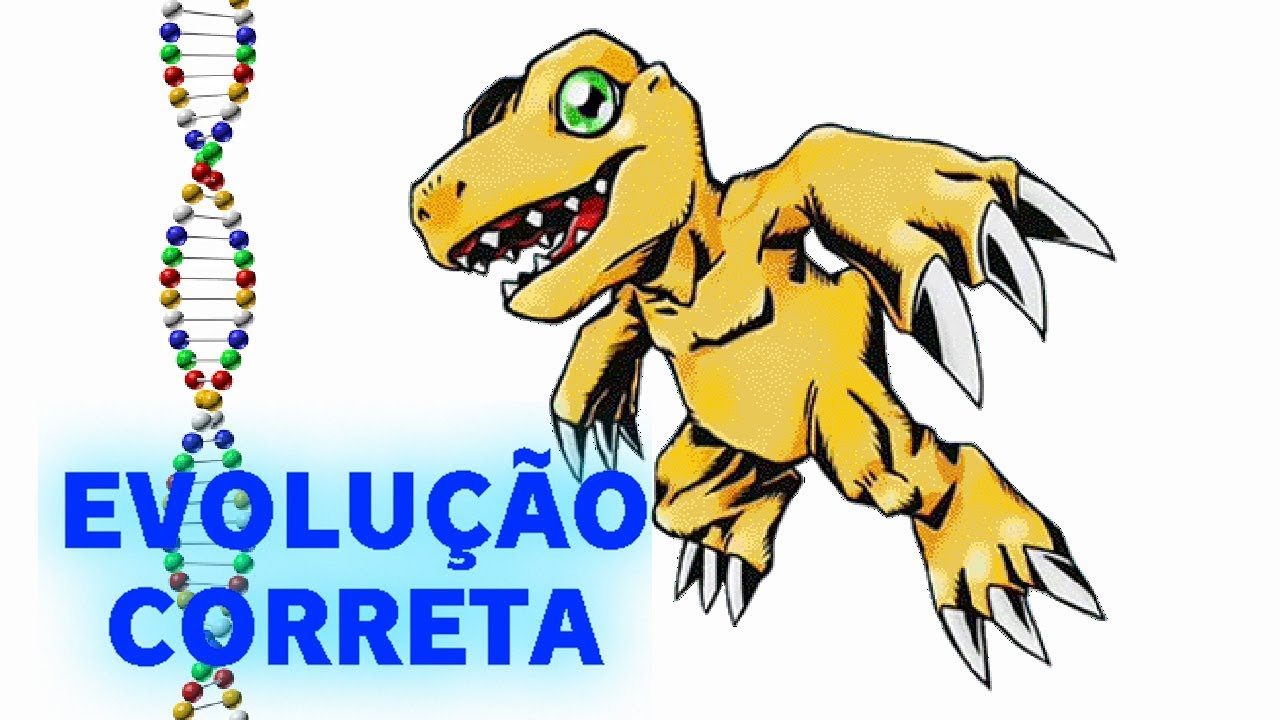 Agumon - Evolução Correta
