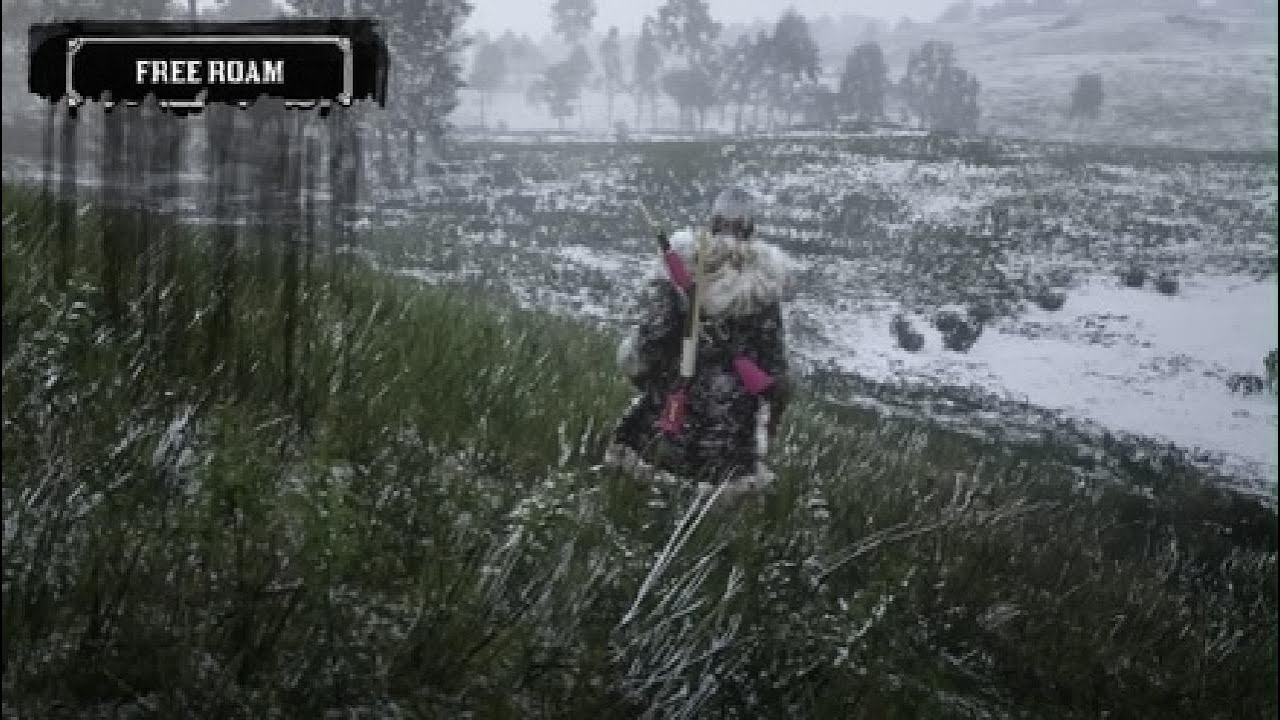 Red Dead Redemption 2_20251231035443