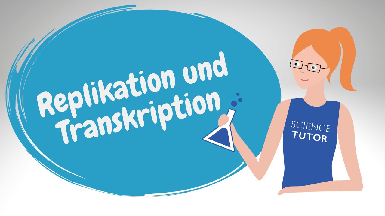 Replikation und Transkription - Unterschiede und Gemeinsamkeiten