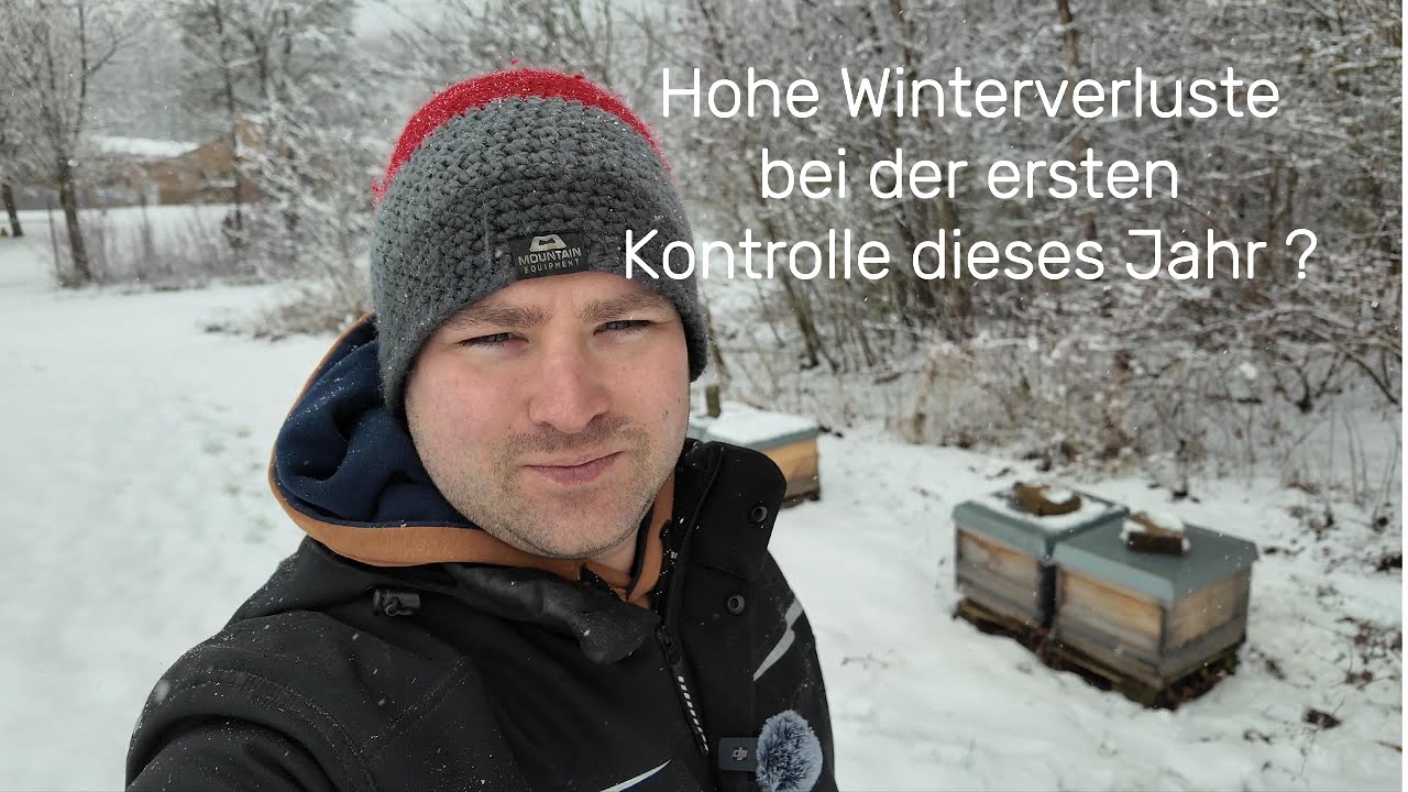 Vlog 03 - Hohe Winterverluste bei der ersten Bienenkontrolle im neuen Jahr ?! #bee #landwirtschaft