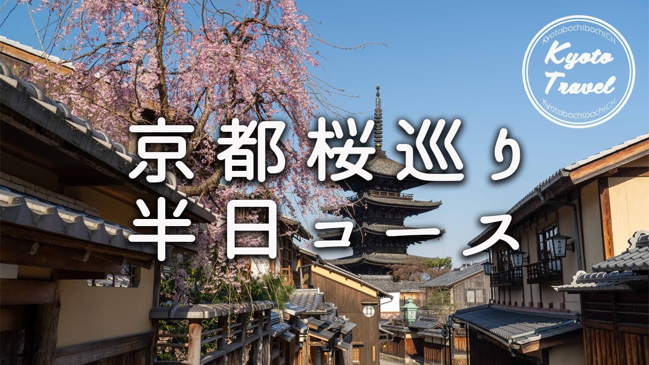 京都桜＊京都人が本気出して半日桜スポットを巡ったらいくつ行けるのか？？｜インクライン・平野神社・産寧坂など