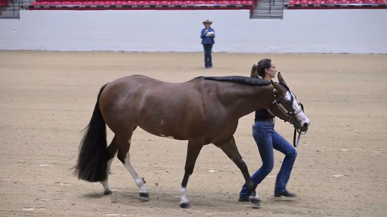 Ride the Pattern - Showmanship (2024 Western National Championship)