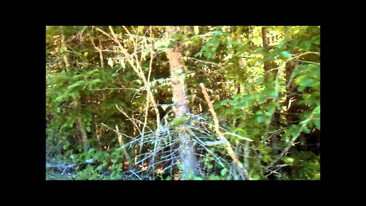 Skookum Meadows Bigfoot Expedition (1 of 2), Aug 21-26th 2012