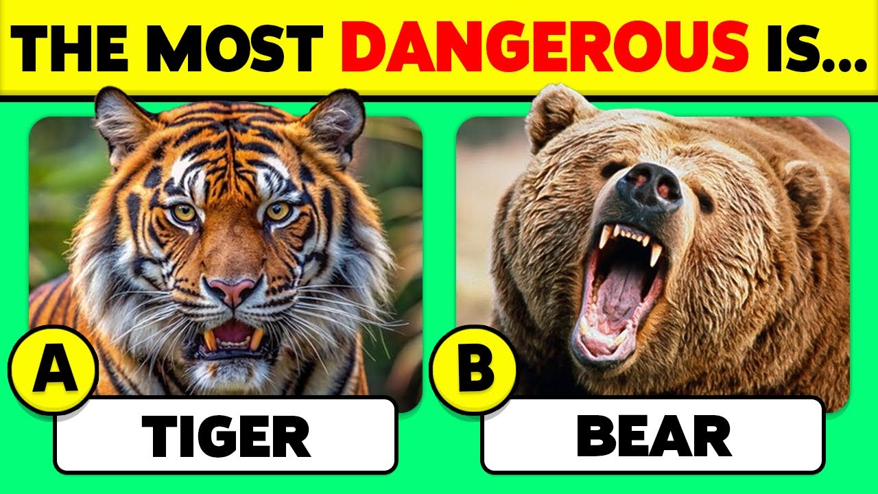 🧠 How Well Do You Know ANIMALS? 🦁🐻🐳 45 Animals Knowledge Trivia Quiz