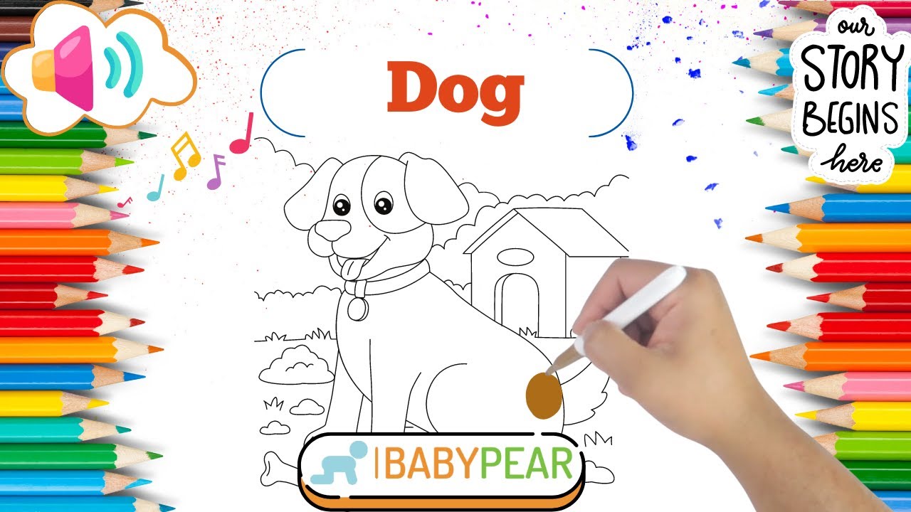 Colour a Playful Dog! 🎨🐶Fun Facts, Storytime & Adventure | Baby Pear UK #kidslearning #coloring #fun