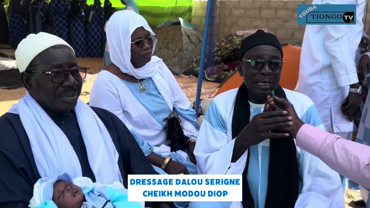 Dressage dalou serigne Modou Diop