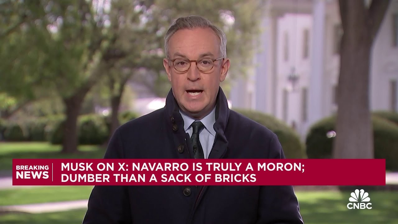 Elon Musk calls Peter Navarro 'truly a moron' in X post