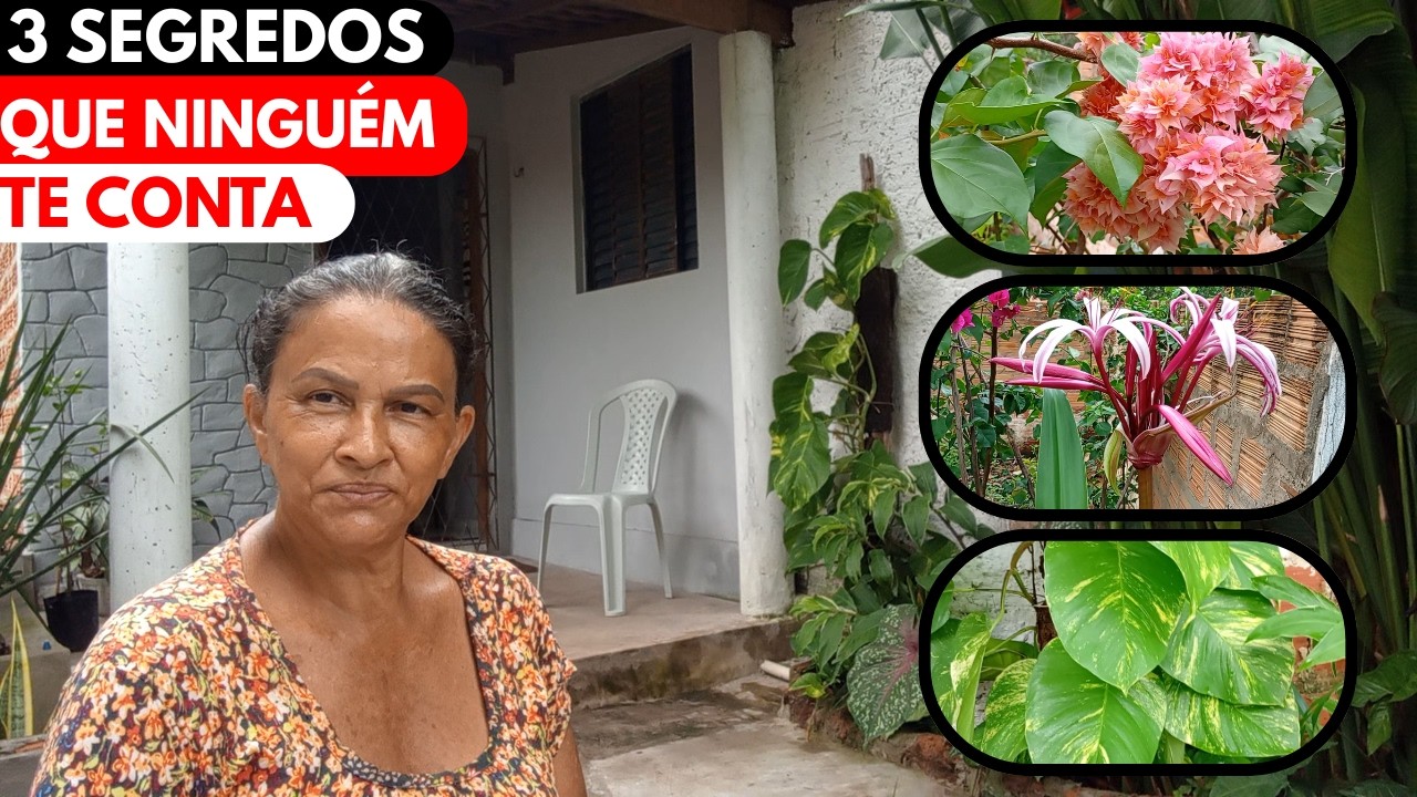 3 segredos de como manter as plantas lindas e saudáveis