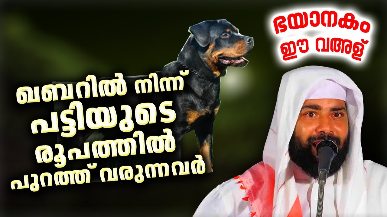 ഖബറിൽ നിന്ന്  'വിരൂപി'കളായി പുറത്തു വരുന്നവരും വിജയിച്ചവരും Sirajudheen Qasimi islamic speech 2021