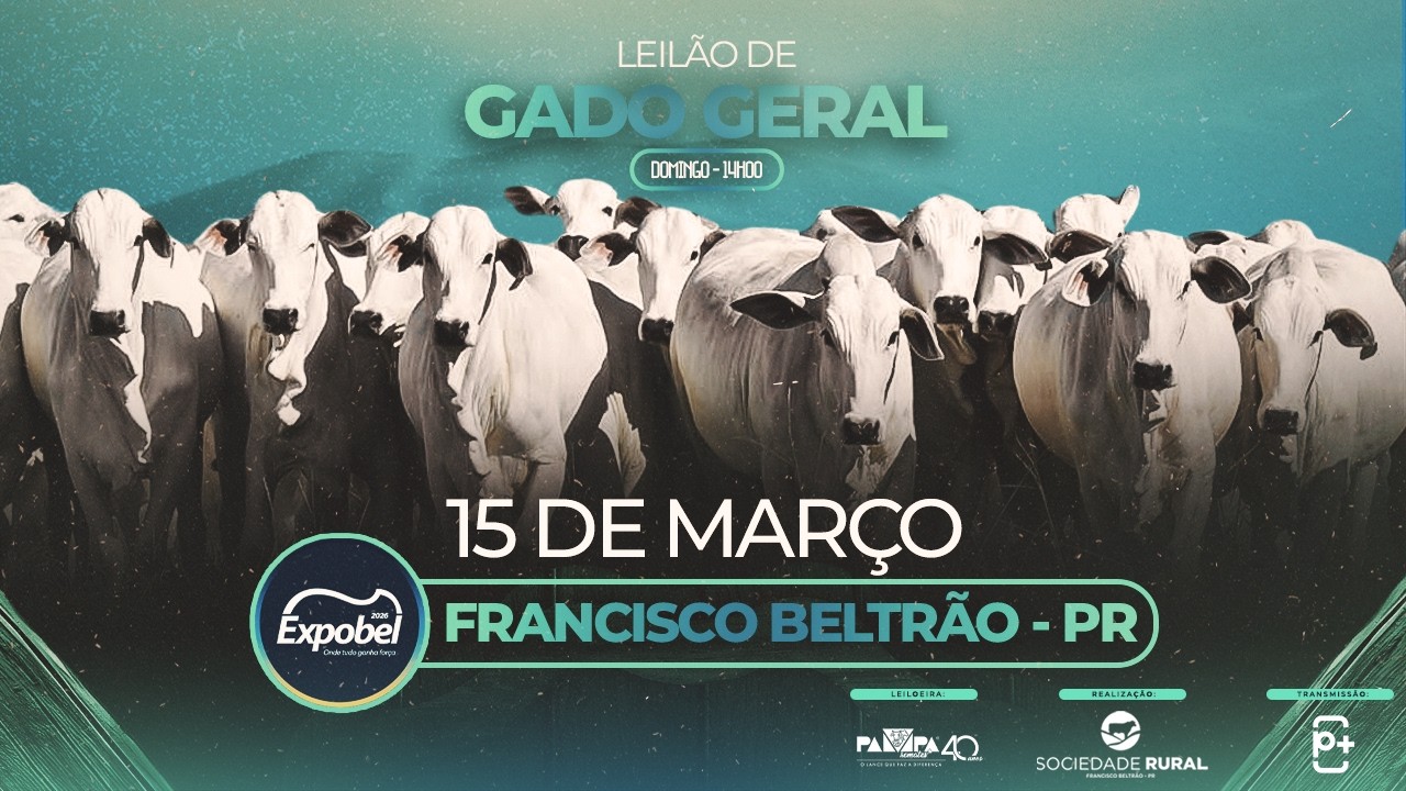 Leilão de Gado Geral - EXPOBEL, FRANCISCO BELTRÃO/PR - 15/03/2026 14:00h