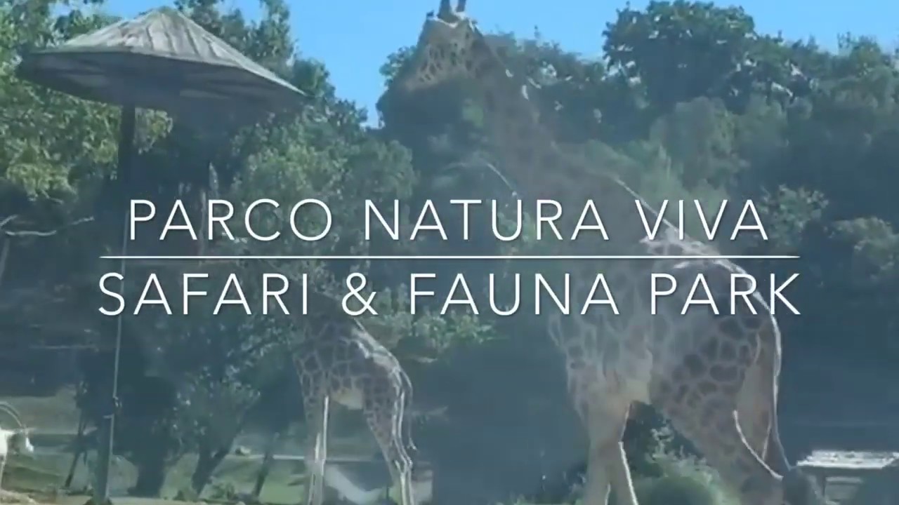 Viaggio al Parco Natura Viva di Bussolengo in 3 minuti