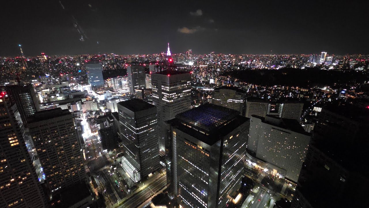 DAY 3 : Enjoy the view from Observatory Deck in Tokyo Metropolitan Government Building 🌃🌃🌃