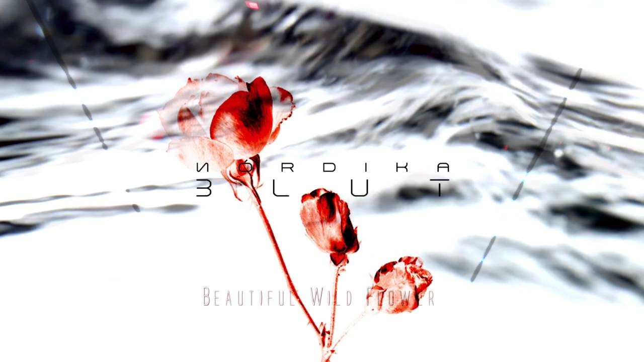 Nórdika - Beautiful Wild Flower