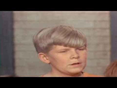Green Acres S03E28 Instant Family