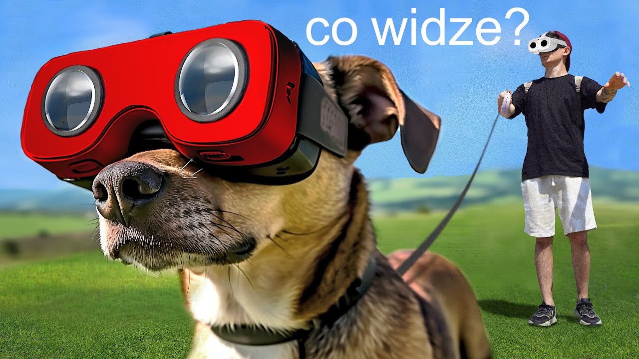 Przeżyłem Dzień z Perspektywy Mojego Psa