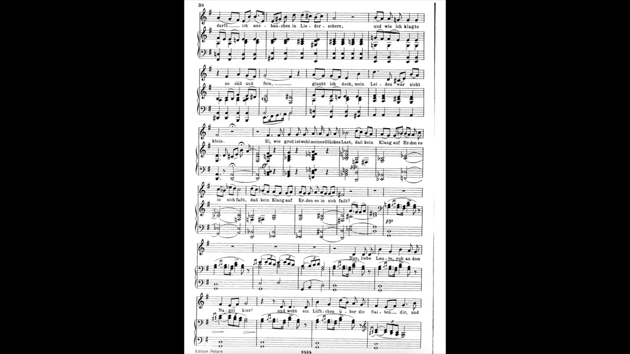 12. Pause  (F. Schubert - Die schöne Müllerin)