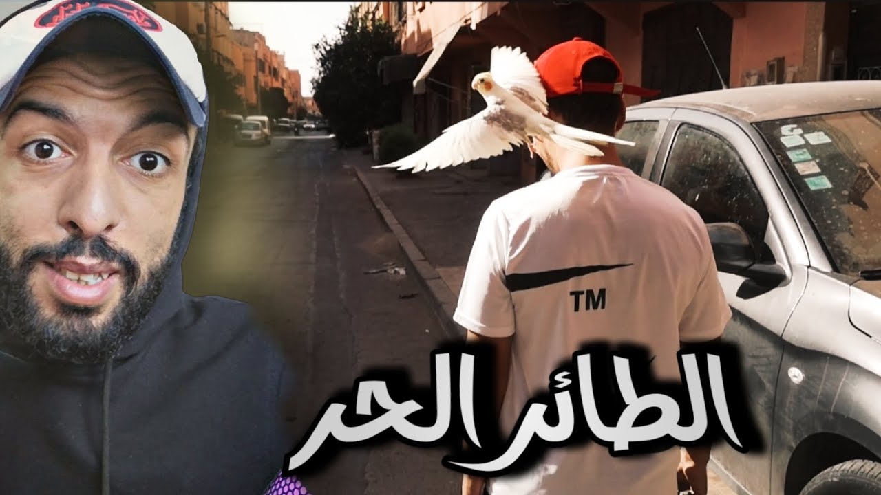 تحدي جديد 🔥 تدريب الكوكتيل على الطيران 🤩 بداية القصة ❤️