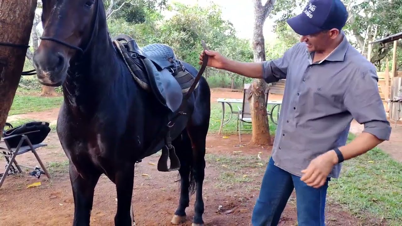 COMO NÃO ERRAR NA HORA DE SELAR O CAVALO