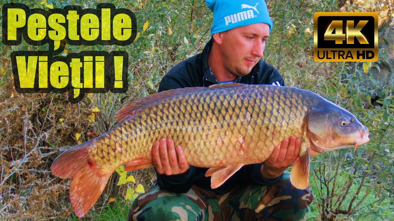 PESCUIT LA CRAP SALBATIC PE DUNARE IN DELTA DUNARII