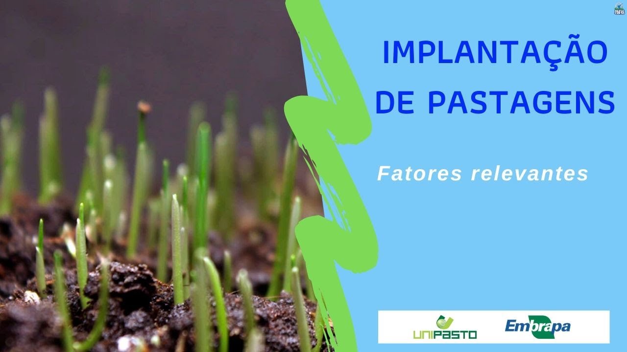 Critérios relevantes - Implantação de pastagens | Série Pasto Certo