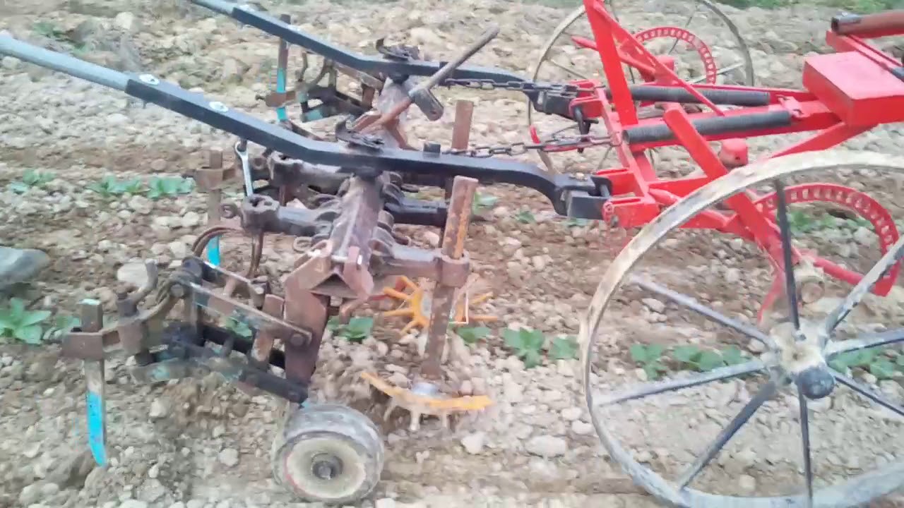 Binage de pr&eacute;cision traction animale