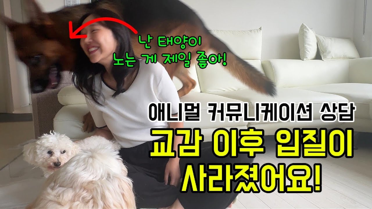 애니멀커뮤니케이션 상담: 교감 후 입질이 사라졌어요!