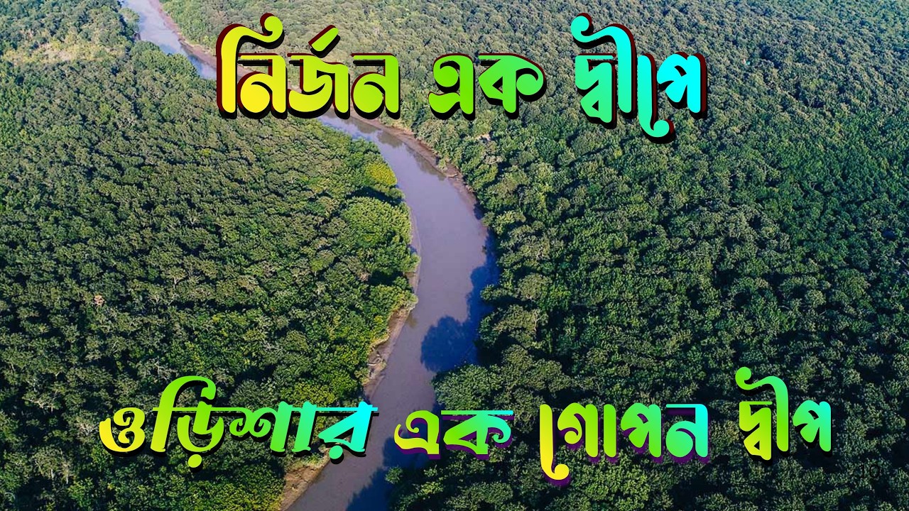 ওড়িশার এক গোপন দ্বীপ! 🌊 জেলেদের লড়াই আর ভোরের অপরূপ মায়া 🦀 Odisha Bichitrapur Travel Vlog