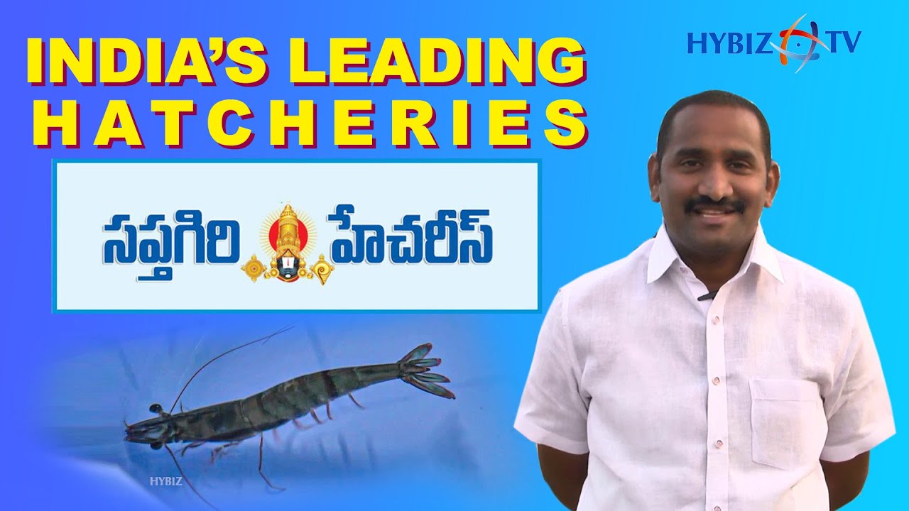Fish Seed Production & Hatchery Management | Sapthagiri Hatcheries