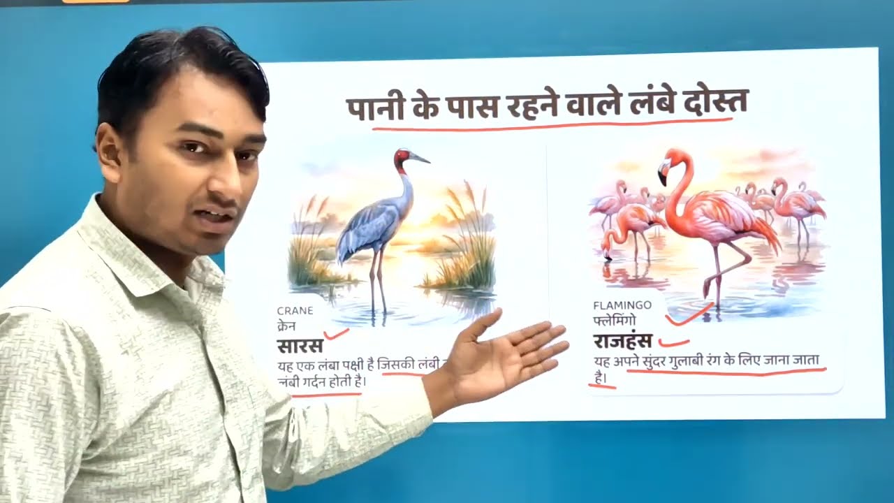 Birds Name for Kids | English Pronunciation & Hindi Meaning | With Pictures